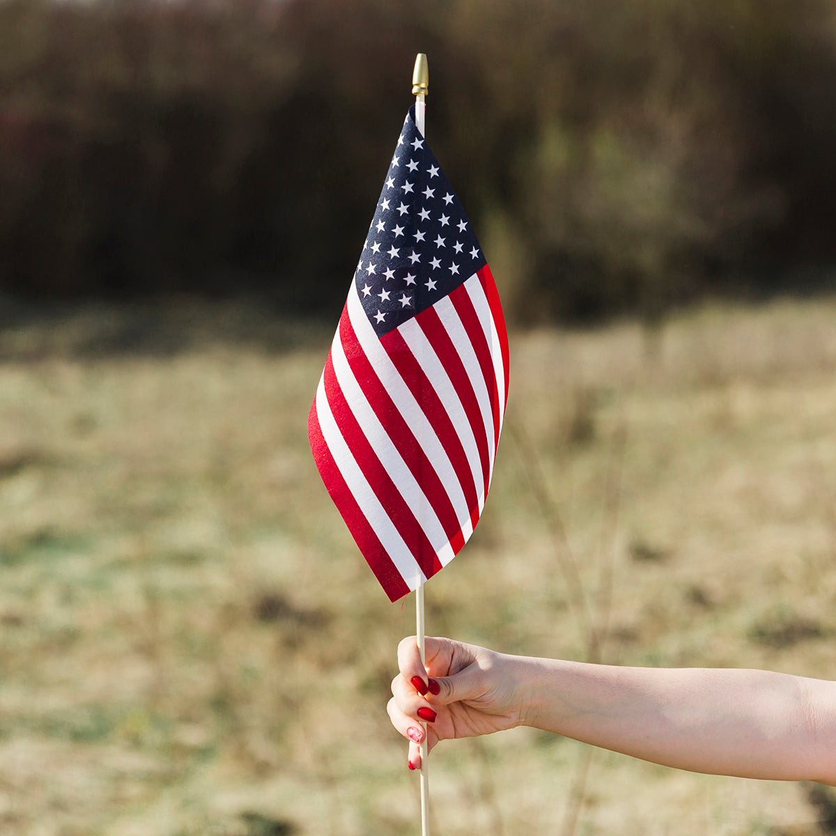 Hand-held Flags
