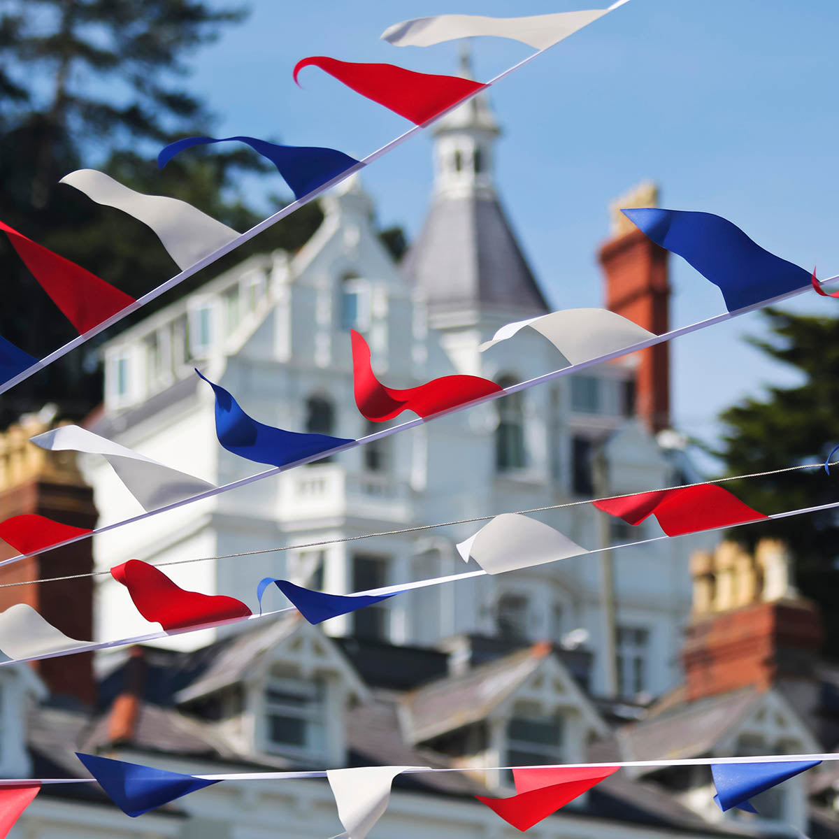Flag Buntings