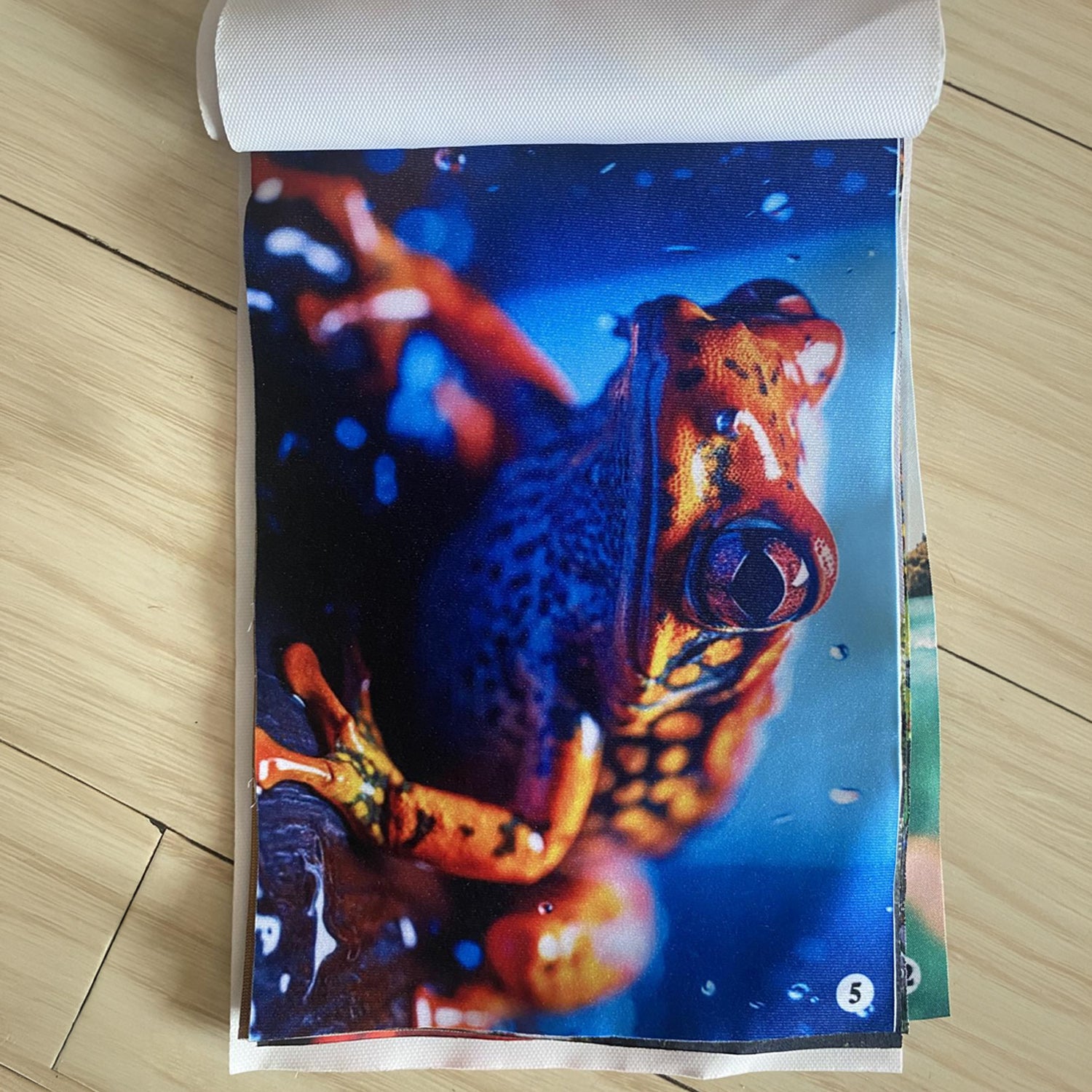 Fabric Sample